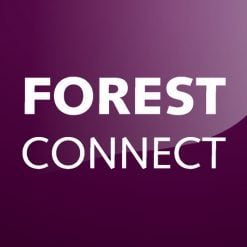 Alternative view of Forest DS-XL® LED Wi-Fi dimmer